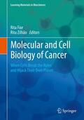 Zilhão / Fior |  Molecular and Cell Biology of Cancer | Buch |  Sack Fachmedien