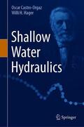 Hager / Castro-Orgaz |  Shallow Water Hydraulics | Buch |  Sack Fachmedien