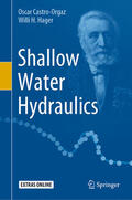 Castro-Orgaz / Hager |  Shallow Water Hydraulics | eBook | Sack Fachmedien