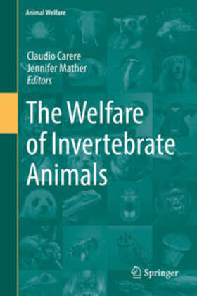 Mather / Carere | The Welfare of Invertebrate Animals | Buch | 978-3-030-13946-9 | sack.de