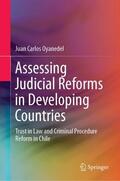 Oyanedel |  Assessing Judicial Reforms in Developing Countries | Buch |  Sack Fachmedien