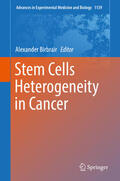 Birbrair |  Stem Cells Heterogeneity in Cancer | eBook | Sack Fachmedien