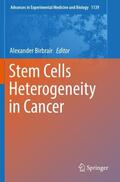Birbrair |  Stem Cells Heterogeneity in Cancer | Buch |  Sack Fachmedien