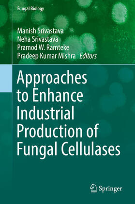 Srivastava / Ramteke / Mishra |  Approaches to Enhance Industrial Production of Fungal Cellulases | eBook | Sack Fachmedien
