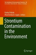 Gupta / Pathak |  Strontium Contamination in the Environment | Buch |  Sack Fachmedien