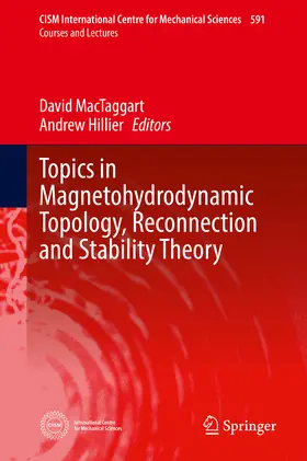 MacTaggart / Hillier |  Topics in Magnetohydrodynamic Topology, Reconnection and Stability Theory | eBook | Sack Fachmedien