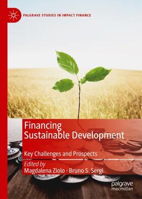 Sergi / Ziolo | Financing Sustainable Development | Buch | 978-3-030-16521-5 | sack.de