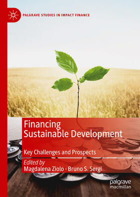 Ziolo / Sergi | Financing Sustainable Development | E-Book | sack.de