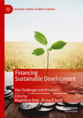 Sergi / Ziolo |  Financing Sustainable Development | Buch |  Sack Fachmedien