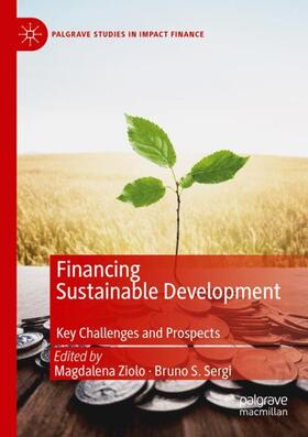 Sergi / Ziolo | Financing Sustainable Development | Buch | sack.de