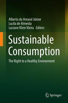 Amaral Junior / Klein Vieira / Almeida | Sustainable Consumption | Buch | 978-3-030-16984-8 | sack.de