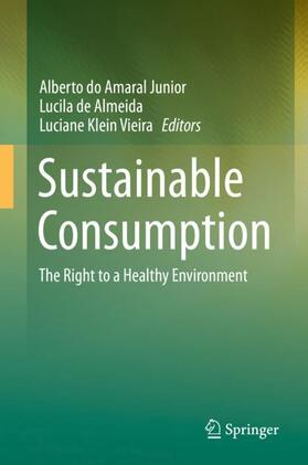 Amaral Junior / Klein Vieira / Almeida | Sustainable Consumption | Buch | 978-3-030-16987-9 | sack.de