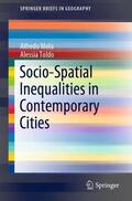 Toldo / Mela |  Socio-Spatial Inequalities in Contemporary Cities | Buch |  Sack Fachmedien