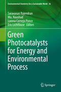 Rajendran / Naushad / Ponce |  Green Photocatalysts for Energy and Environmental Process | eBook | Sack Fachmedien