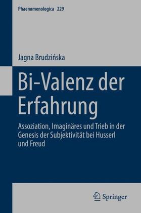 Brudzinska / Brudzinska | Bi-Valenz der Erfahrung | Buch | 978-3-030-17928-1 | sack.de