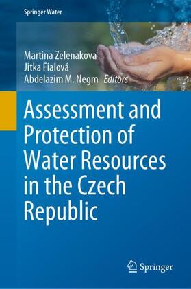 Zelenakova / Negm / Fialová | Assessment and Protection of Water Resources in the Czech Republic | Buch | 978-3-030-18362-2 | sack.de
