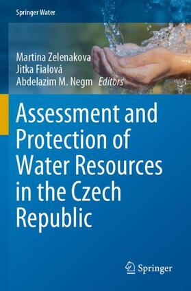 Zelenakova / Negm / Fialová |  Assessment and Protection of Water Resources in the Czech Republic | Buch |  Sack Fachmedien