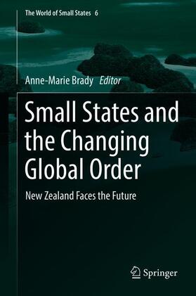 Brady | Small States and the Changing Global Order | Buch | 978-3-030-18802-3 | sack.de