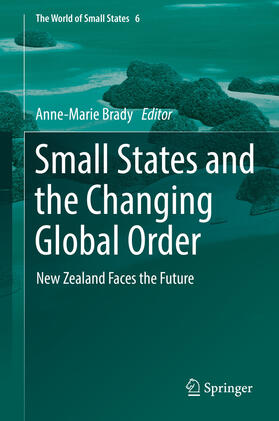Brady | Small States and the Changing Global Order | E-Book | sack.de