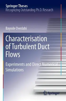 Owolabi |  Characterisation of Turbulent Duct Flows | Buch |  Sack Fachmedien