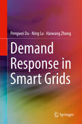 Du / Lu / Zhong |  Demand Response in Smart Grids | eBook | Sack Fachmedien