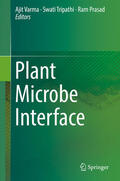 Varma / Tripathi / Prasad |  Plant Microbe Interface | eBook | Sack Fachmedien