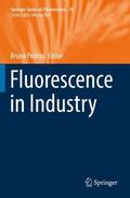 Pedras |  Fluorescence in Industry | Buch |  Sack Fachmedien