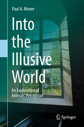 Moore |  Into the Illusive World | Buch |  Sack Fachmedien