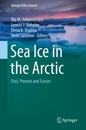 Johannessen / Sandven / Bobylev |  Sea Ice in the Arctic | Buch |  Sack Fachmedien