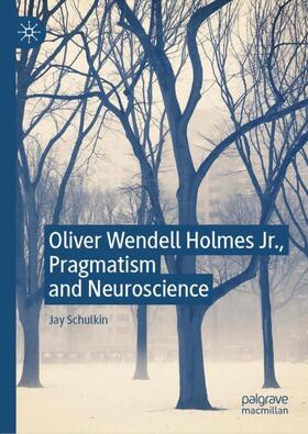 Schulkin | Oliver Wendell Holmes Jr., Pragmatism and Neuroscience | Buch | 978-3-030-23099-9 | sack.de