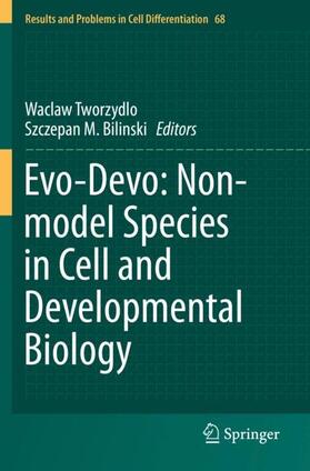 Bilinski / Tworzydlo | Evo-Devo: Non-model Species in Cell and Developmental Biology | Buch | 978-3-030-23461-4 | sack.de