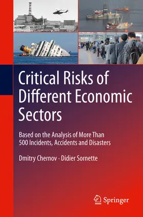 Chernov / Sornette | Critical Risks of Different Economic Sectors | E-Book | www.sack.de