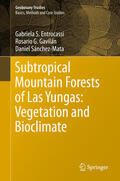 Entrocassi / Gavilán / Sánchez-Mata |  Subtropical Mountain Forests of Las Yungas: Vegetation and Bioclimate | eBook | Sack Fachmedien