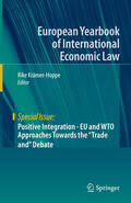 Krämer-Hoppe |  Positive Integration - EU and WTO Approaches Towards the "Trade and" Debate | eBook | Sack Fachmedien