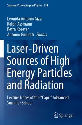 Gizzi / Giulietti / Assmann | Laser-Driven Sources of High Energy Particles and Radiation | Buch | 978-3-030-25852-8 | sack.de