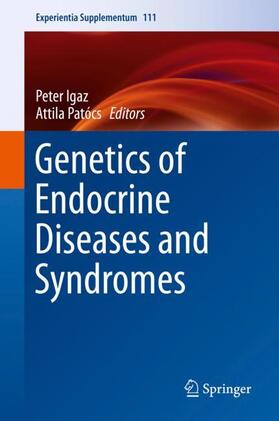 Patócs / Igaz | Genetics of Endocrine Diseases and Syndromes | Buch | 978-3-030-25907-5 | sack.de