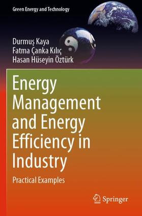 Kaya / Öztürk / Çanka Kiliç |  Energy Management and Energy Efficiency in Industry | Buch |  Sack Fachmedien