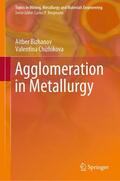Chizhikova / Bizhanov |  Agglomeration in Metallurgy | Buch |  Sack Fachmedien