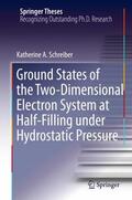 Schreiber |  Ground States of the Two-Dimensional Electron System at Half-Filling under Hydrostatic Pressure | Buch |  Sack Fachmedien