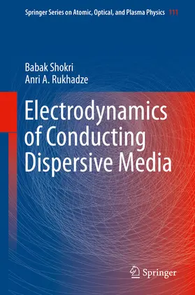 Shokri / Rukhadze |  Electrodynamics of Conducting Dispersive Media | eBook | Sack Fachmedien