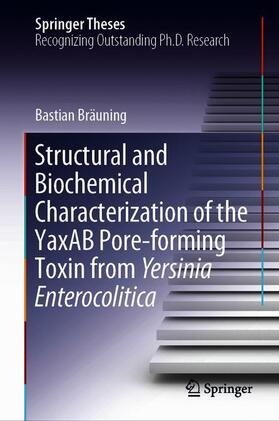 Bräuning | Structural and Biochemical Characterization of the YaxAB Pore-forming Toxin from Yersinia Enterocolitica | Buch | sack.de
