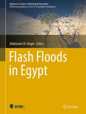Negm | Flash Floods in Egypt | Buch | 978-3-030-29634-6 | sack.de