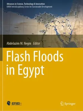 Negm |  Flash Floods in Egypt | Buch |  Sack Fachmedien