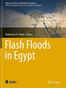 Negm | Flash Floods in Egypt | Buch | 978-3-030-29637-7 | sack.de