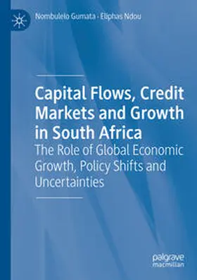 Ndou / Gumata |  Capital Flows, Credit Markets and Growth in South Africa | Buch |  Sack Fachmedien