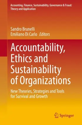 Di Carlo / Brunelli |  Accountability, Ethics and Sustainability of Organizations | Buch |  Sack Fachmedien