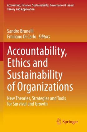 Di Carlo / Brunelli | Accountability, Ethics and Sustainability of Organizations | Buch | 978-3-030-31195-7 | sack.de