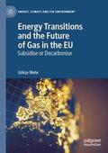 Mete |  Energy Transitions and the Future of Gas in the EU | Buch |  Sack Fachmedien
