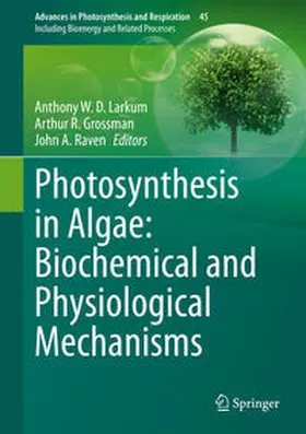 Larkum / Grossman / Raven |  Photosynthesis in Algae: Biochemical and Physiological Mechanisms | eBook | Sack Fachmedien