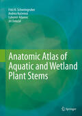 Schweingruber / Kucerová / Kucerová |  Anatomic Atlas of Aquatic and Wetland Plant Stems | eBook | Sack Fachmedien